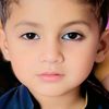 sajed8059