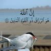 toto_mody_237_m
