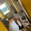 gine_poggiaaa