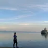 tongie68