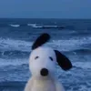 tuzyhmxdsrigj