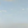 gh_._.__gh