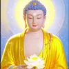 bich.luy.huynh