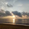 binh_minh29825