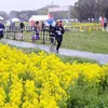 hiromi.0222