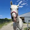 matyldamaj1