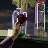 alaa_gojel