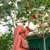 reshmiaktar623