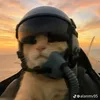 felixfelixfr