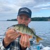 marius_riddertoft