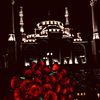 arabplan11111