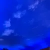 funny_dude123456