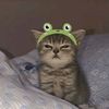 user1qv9mrfhds