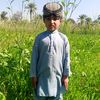 safdarabbas3963