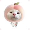 hi2799023