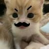 yyngg_12