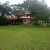 platitodebarro