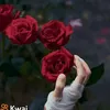 gckfjf7