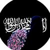 amkw_15