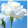 user9cotil7vdm