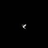 _____raykhalifa02
