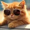 gato_xd39