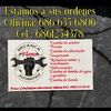 anthonyflores7618