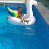 guill_w