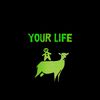 yourlifebro.id