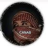 anab6784