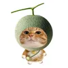 meowplaygame0