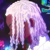 face_lesss404