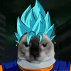 isloten77789