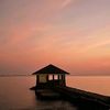 byluby_