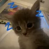 _nhuyycutiis1_