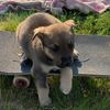 ilikeskating2