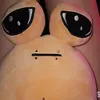 opopopopopo42