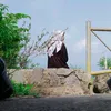 mariskaindriyanii