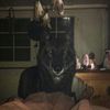 zaragoz5am