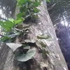 user8szcj1a68a