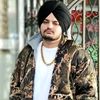 ladlasidhu6373