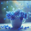 jaityrazem77