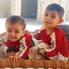 javed.khttak3