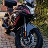 moloduy_burmotun