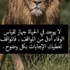 abdelral227