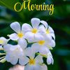 vickysinghvicky716