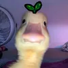 jai_03s
