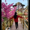 lovely_mehhhhhh