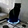 pepe_0987654321