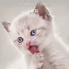 user9udrh5exqp